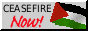 palestine flag ceasefire now button