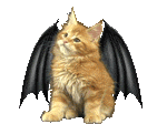 a realistic orange kitten with animated bat wings