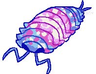 drawing of a transgender-flag-patterned isopod in pink, blue, and white