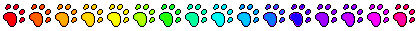 rainbow paws divider