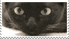 stamp of a black cat with its pupils expanding and contracting