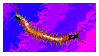 centipede dancing on flashing rainbow stamp