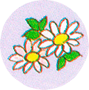 two daisies on lavender background