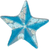 small silver glitter star